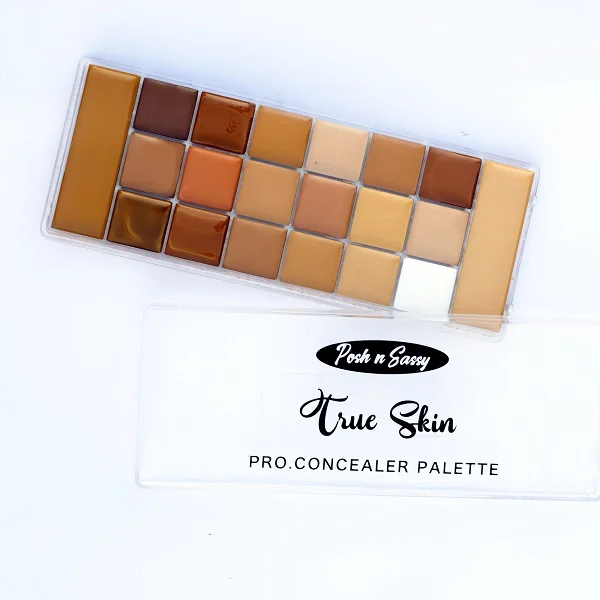 Posh and Sassy True Skin Concealer Palette - Image 3