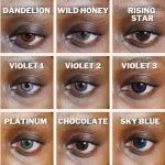 Blossom Makeups Eyeconic Contact Lens - Image 3